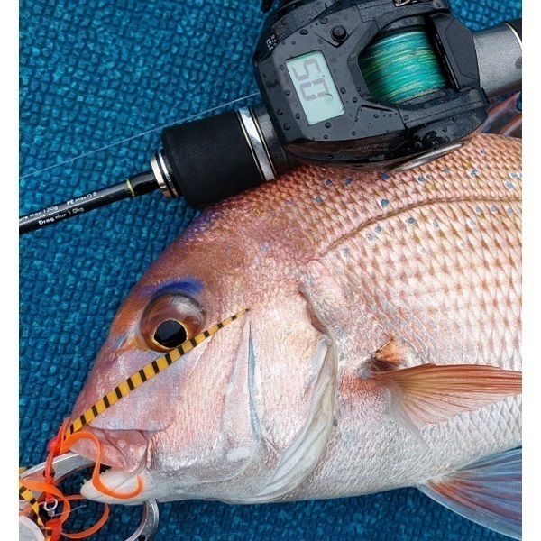 ヴィレイヤーDG